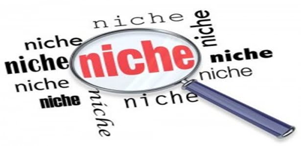 Capitalize your niche