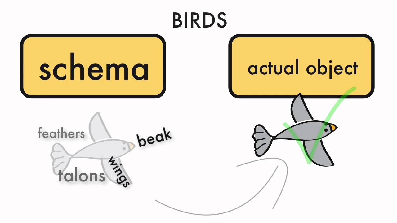 Use offer schema