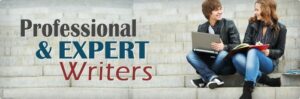 Professionals Assignment Writers