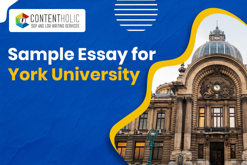 York University Essay Sample