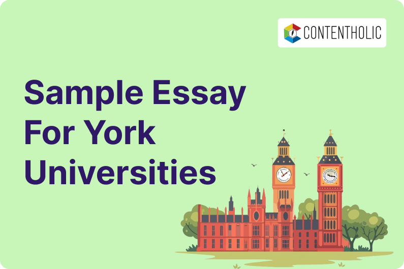 York University Essay Sample