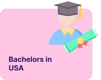 usa-bachelors